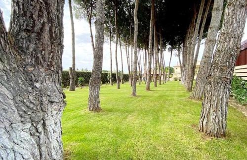 Canicatti Villa | Villa Laoconte piscina, jacuzzi e biliardo