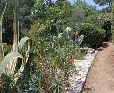 Roches Grises Bed & Breakfast | Villa Le Clos Fleuri