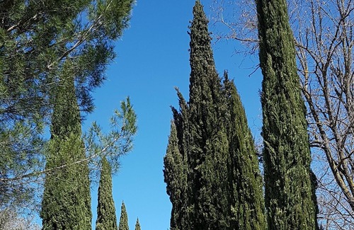 Palaia Villa | Villa Marae in Tuscany - Stunning Villa With a Pool and Tennis Court