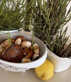 Cleto Bed & Breakfast | Villa Marina B&B
