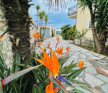 Cleto Bed & Breakfast | Villa Marina B&B