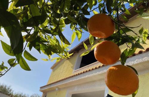 Campobello di Mazara Villa | Villa Medusa