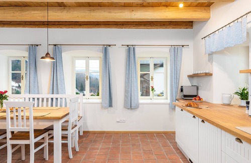 Desna Villa | Villa met sauna LDD032