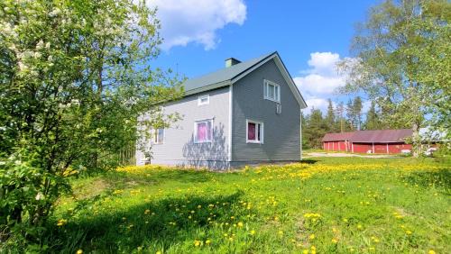 Rautjarvi Apartment | Villa Mummola Kahden makuuhuoneen huoneisto lähellä jokea