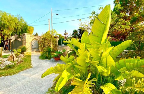 Gallina Villa | Villa Noemi