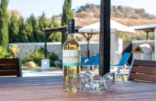 Asgourou Villa | Villa Olympos Ladiko