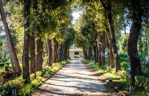 Alvignano Resort | Villa Ortensia D'Avalos