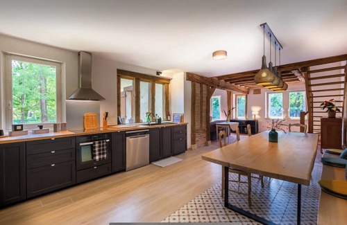 Villefranche-sur-Cher House | Villa Pinède: Beauval Zoo, Castles, heated swimming pool.