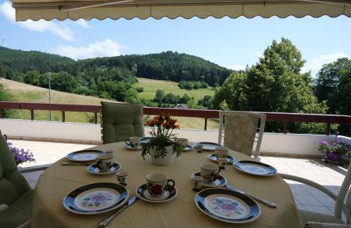 Seelbach Apartment | Villa Schwarzwaldblick
