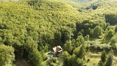 Szuha Villa | Villa Szalamandra - az Erdőszéle