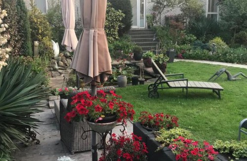 Wijk aan Zee House | Villa 't Haasduin