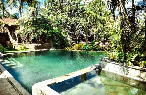 Banjartegehe Villa | Villa Tunjung- 3BR, infinity pool, staff