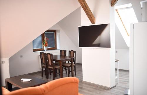Ostrava Villa | Villa u Arény