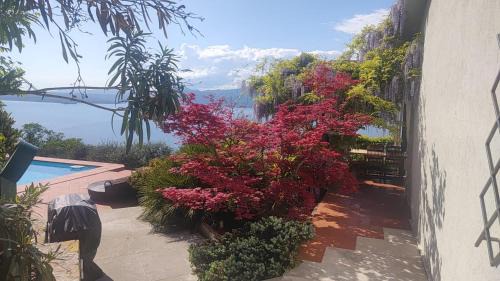 Torri del Benaco Villa | Villa Uliveta