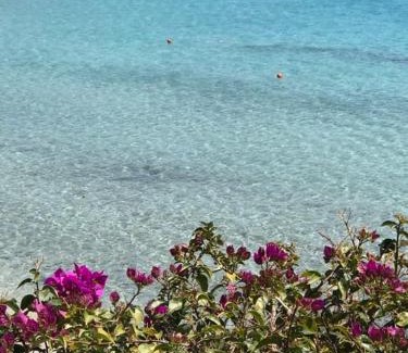 Alghero Villa | Villa Vera - Le Bombarde