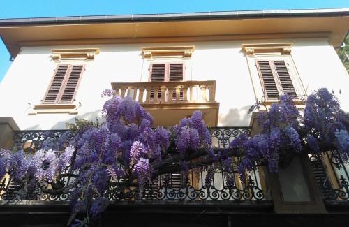 Castiglioncello Apartment | Villa Violetta
