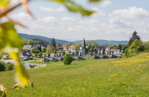 Neuastenberg House | Villas Winterberg