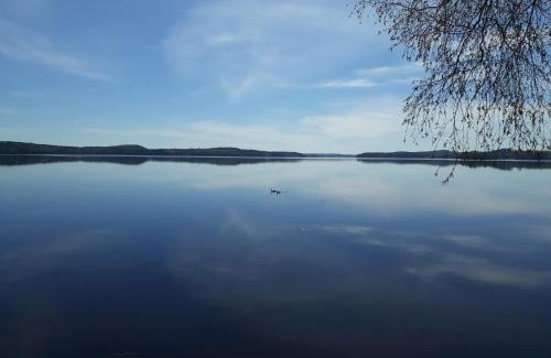Kuorevesi Villa | VillaTorppa