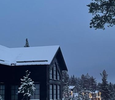 Vemdalen House | Villavemdalen