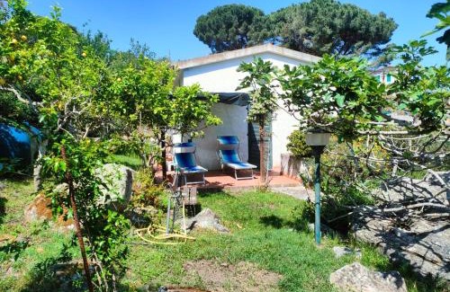 Sant' Andrea Villa | Villetta Sant'Andrea - Goelba