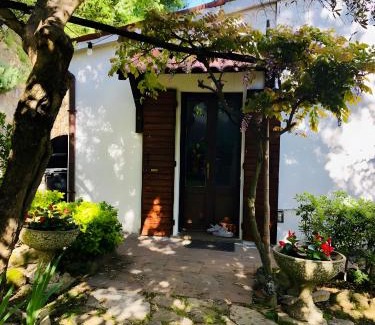 Albettone House | Villino San Silvestro
