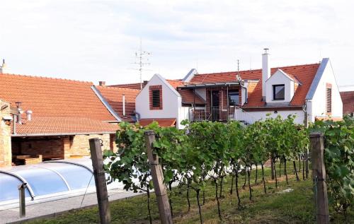Sakvice Apartment | Vinařský dvůr Turna