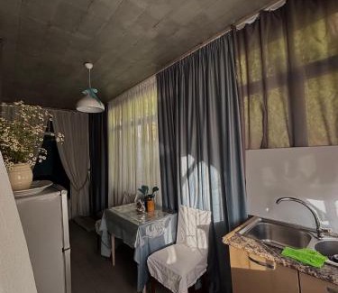Borjomi House | Vintage House Borjomi