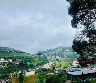 Thalayathimund Hotel | Violet Residency Ooty