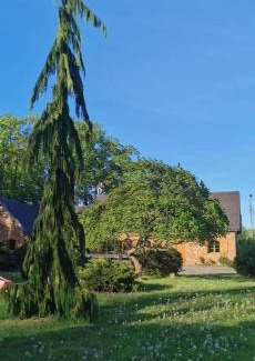 Strzelinko House | Violin house