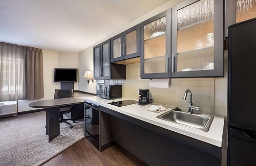Bryant Pattengill West Resort | Visit University of Michigan Museum of Natural History! Pets Allowed, Kitchen!