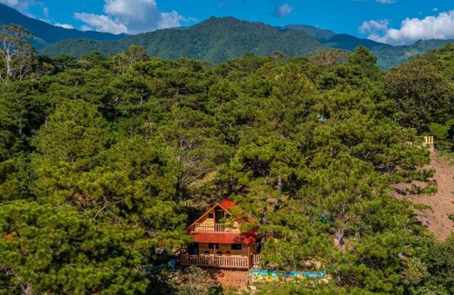 San Ignacio Ski Chalet | Vista pinares