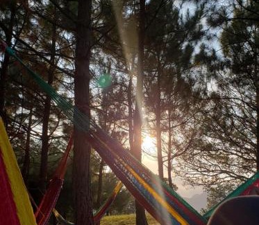 San Ignacio Ski Chalet | Vista pinares