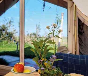 Hazerswoude-Dorp Other | Voedselbos Camping Koperwiek