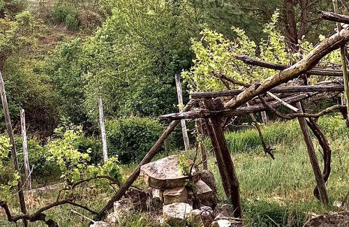 Monesiglio House | Vrbo Property