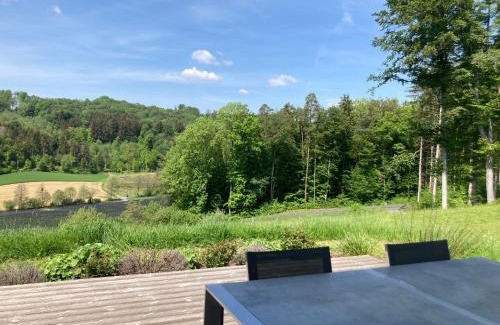 Feldbach House | Vulkanland Stoeckel - Feldbach