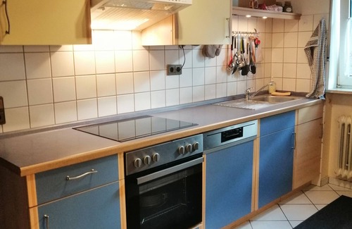 Schonbrunn House | "WALDESRUH "two apartments in one house For 9 people 30km to Heidelberg