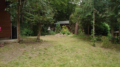 Zichtau House | Waldhaus Halvor