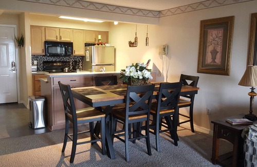 Indian Point Condo | WALK-IN 2 Bedroom Sleeps 7! Lake View & Marina! 2 mi from Silver Dollar City