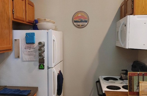 Northface Condo | Walk to Dolly Sods, Enjoy Mountain Views + Gas Fireplace & Jacuzzi Tub! 3rd Fl.