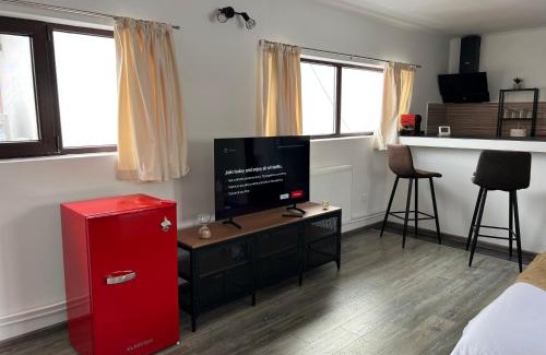 Baneasa Apartment | Warm'n Cozy, Modern Baneasa Studio