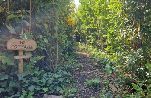 Boeicop House | Water & Meadow cottage in Central Holland 2A & 2C