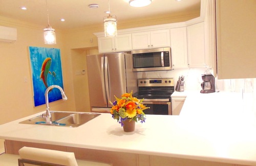 Downtown St. John's Condo | Water Street and HarborGate Condos