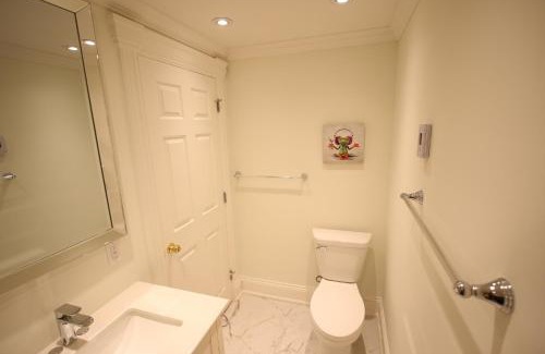 Downtown St. John's Apartment | Water Street and HarborGate Condos & Studios