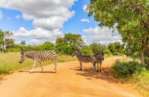 Leeupoort Villa | Waterberg House at Zebula - 8 adults and 4 kids under 10 years