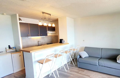 Le Barcares Apartment | Waterfront 7P Terrace Swimming Pool Private Parking