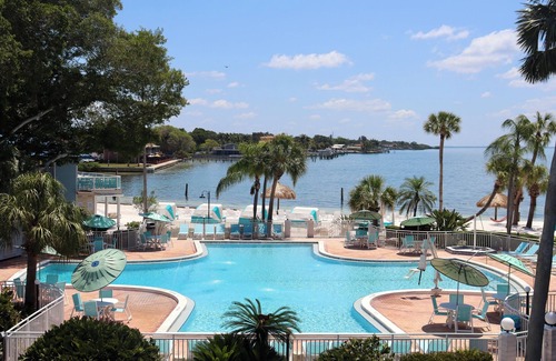 Pinellas Point House | Waterside Haven! Access to Private Beach, Outdoor Pool, Pets Allowed