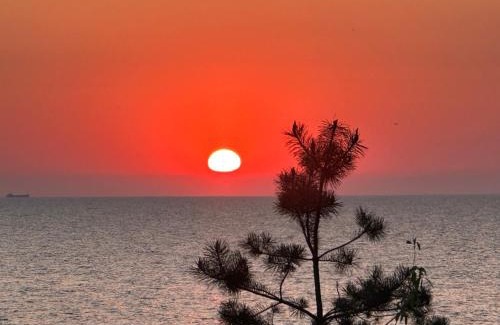Miedzyzdroje Apartment | Wave Resort & Spa Magic Apartaments with sea view