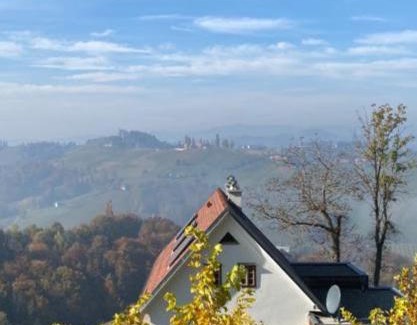 Gamlitz House | Weingartenhaus Eckberg41
