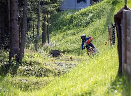 Sankt Corona am Wechsel Bed & Breakfast | WeiXL Schi&Bike Appartements-Bike in&Bike out neben Wexl Trails Bikepark