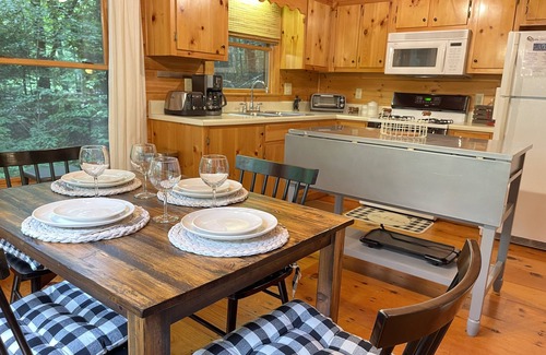 Hidden Lake House | Welcome to Bearadise! Charming cabin 10 minutes to downtown Blue Ridge!